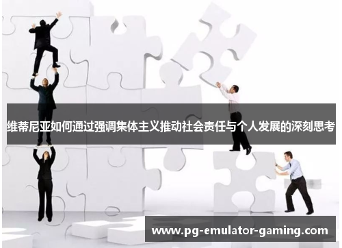 维蒂尼亚如何通过强调集体主义推动社会责任与个人发展的深刻思考