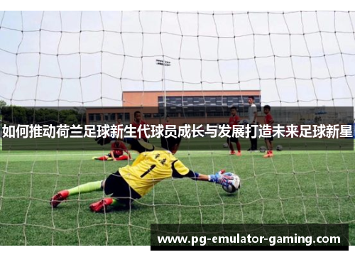 如何推动荷兰足球新生代球员成长与发展打造未来足球新星 如何推动荷兰足球新生代球员成长与发展打造未来足球新星