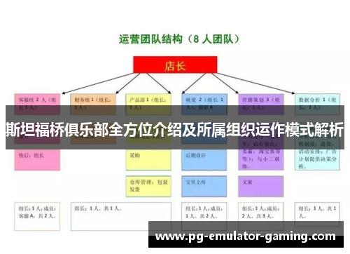 斯坦福桥俱乐部全方位介绍及所属组织运作模式解析