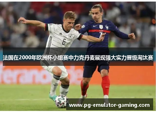 法国在2000年欧洲杯小组赛中力克丹麦展现强大实力晋级淘汰赛 法国在2000年欧洲杯小组赛中力克丹麦展现强大实力晋级淘汰赛