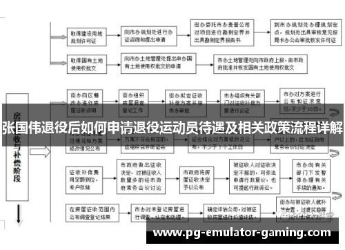 张国伟退役后如何申请退役运动员待遇及相关政策流程详解