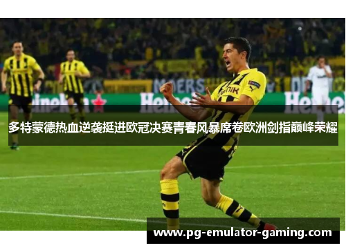 多特蒙德热血逆袭挺进欧冠决赛青春风暴席卷欧洲剑指巅峰荣耀