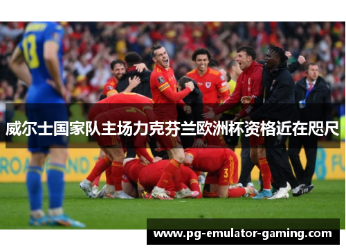 威尔士国家队主场力克芬兰欧洲杯资格近在咫尺