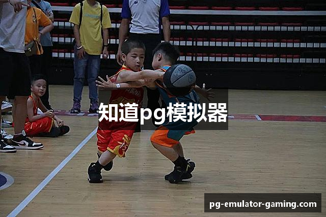 知道pg模拟器